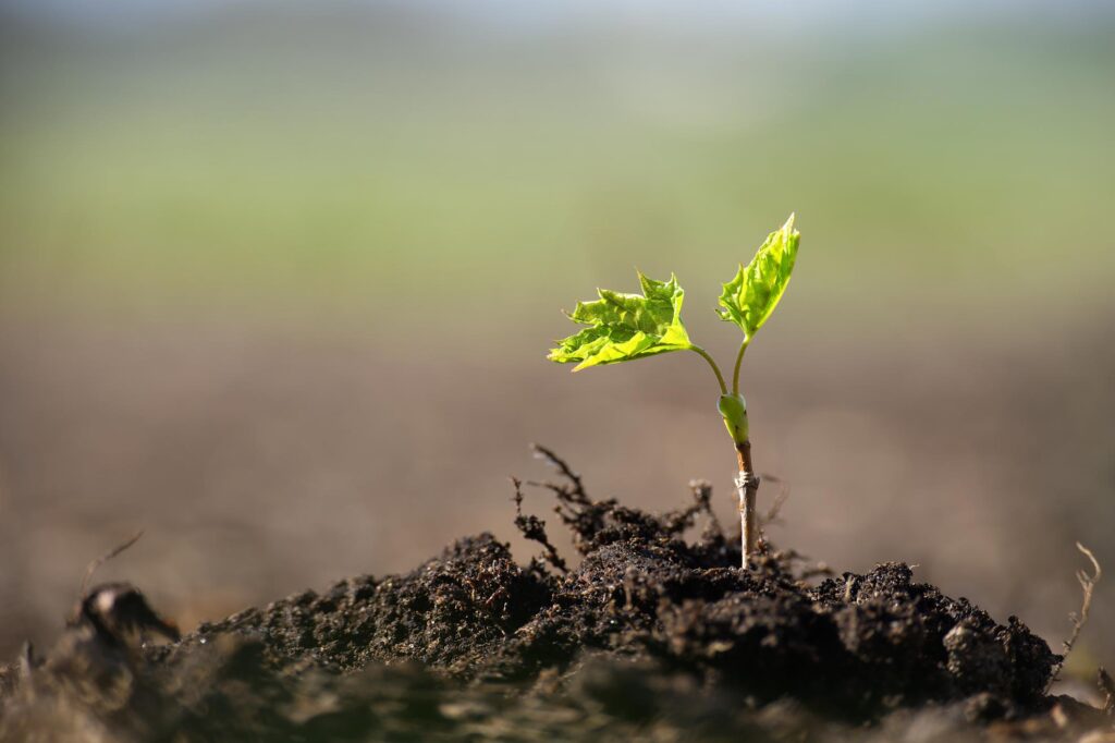 Why I Started a Blog